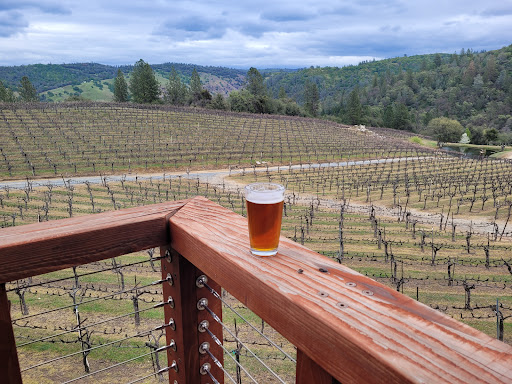 Vineyard «Gold Hill Vineyard», reviews and photos, 5660 Vineyard Ln, Placerville, CA 95667, USA