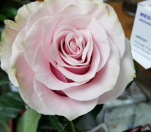 Florist «Abbott Florist», reviews and photos, 1008 71st St, Miami Beach, FL 33141, USA