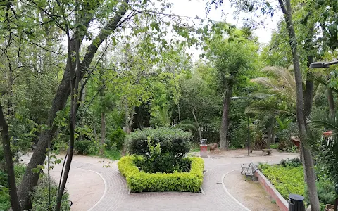 Parque Benito Juárez image