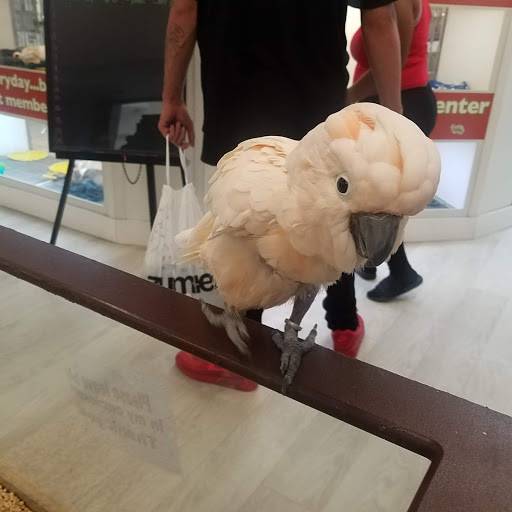 Pet Store «Petland Topeka», reviews and photos, 1801 SW Wanamaker Rd, Topeka, KS 66614, USA