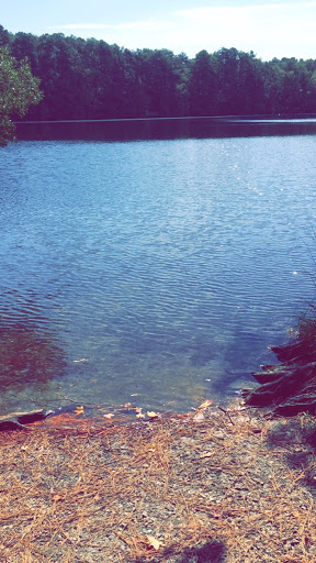 Discount Store «Dollar General», reviews and photos, 1816 Lake Rd N, Hamlin, NY 14464, USA