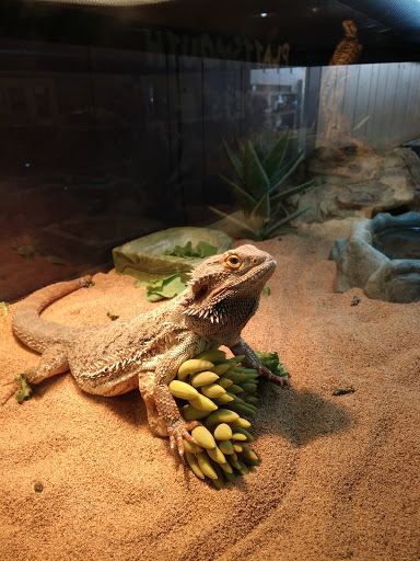 Pet Store «Plattsmouth Pets», reviews and photos, 430 Main St, Plattsmouth, NE 68048, USA