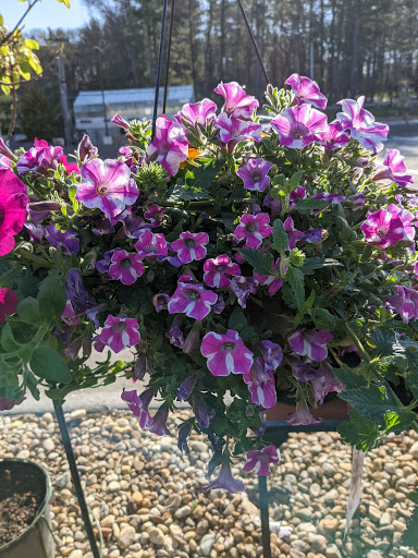 Florist «Nunan Florist & Greenhouses», reviews and photos, 269 Central St, Georgetown, MA 01833, USA