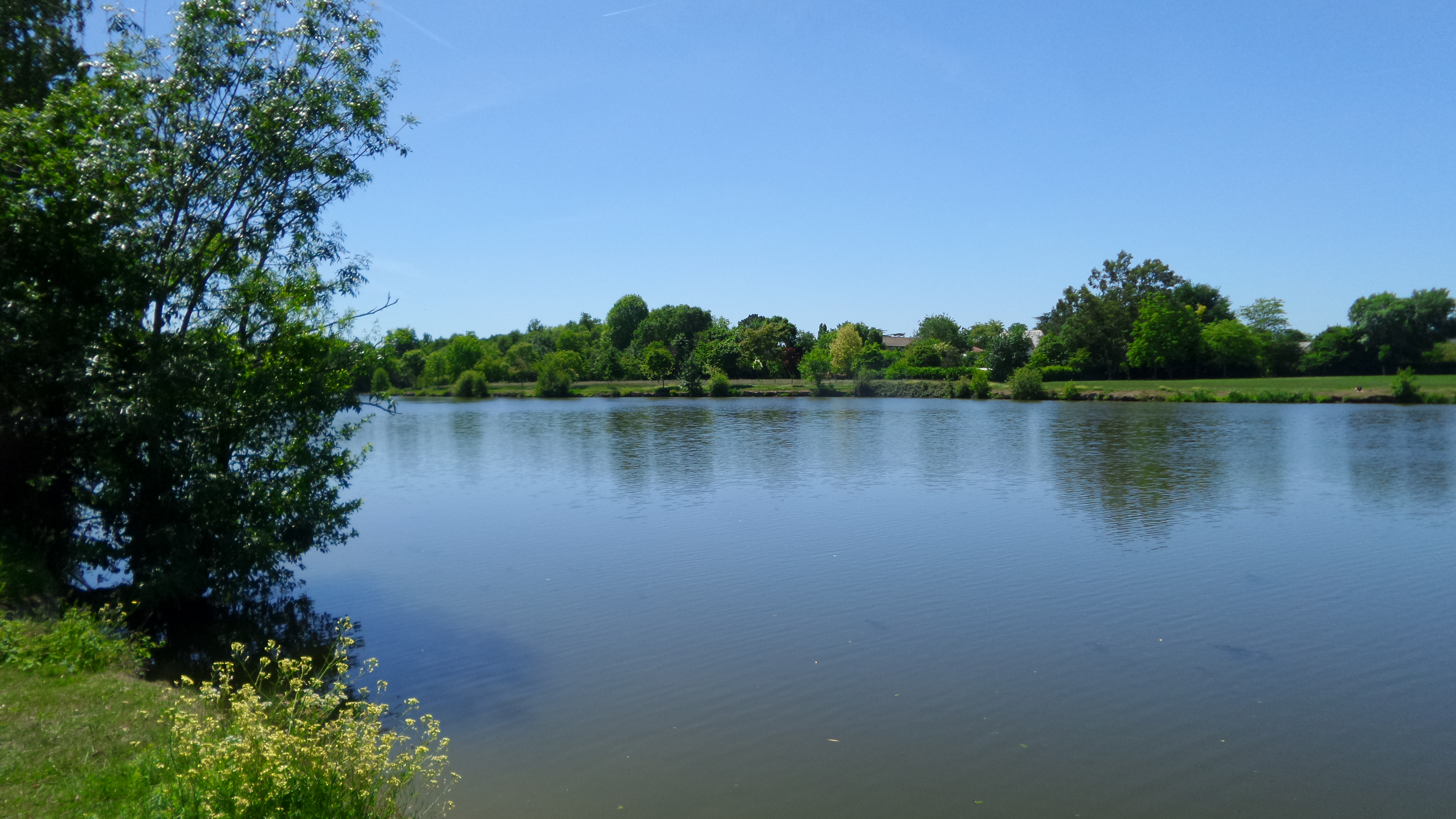 Photo n° 1 de l'avis de Brian.a fait le 23/05/2017 à 13:08