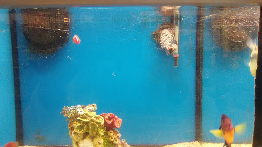 Pet Supply Store «Petco Animal Supplies», reviews and photos, 135 Crooked Run Plaza #10, Front Royal, VA 22630, USA