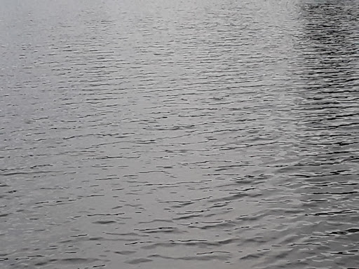 Park «Lake Geneva Park», reviews and photos, 34429 46th Ave S, Auburn, WA 98001, USA