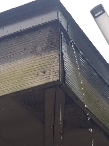 Roofing Contractor «Bayside Roofing Professionals», reviews and photos, 5439 Mile Stretch Dr, Holiday, FL 34690, USA