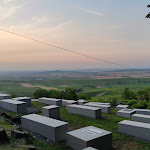 Photo n°3 de l'avis de Andrea.e fait le 25/07/2021 à 08:57 sur le  Stöckbauers Weinkastell - Peggy Stöckbauer à Dittelsheim-Heßloch