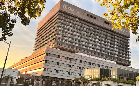 Vienna General Hospital image