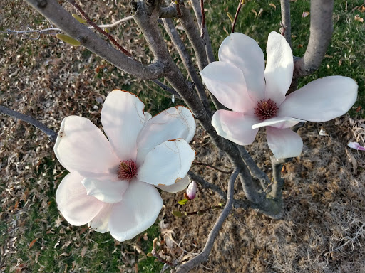 Museum «The George Washington Masonic National Memorial», reviews and photos, 101 Callahan Dr, Alexandria, VA 22301, USA