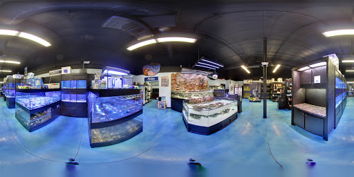 Tropical Fish Store «Pisces Reef Fish Emporium, LLC», reviews and photos, 9326 W Sahara Ave, Las Vegas, NV 89117, USA