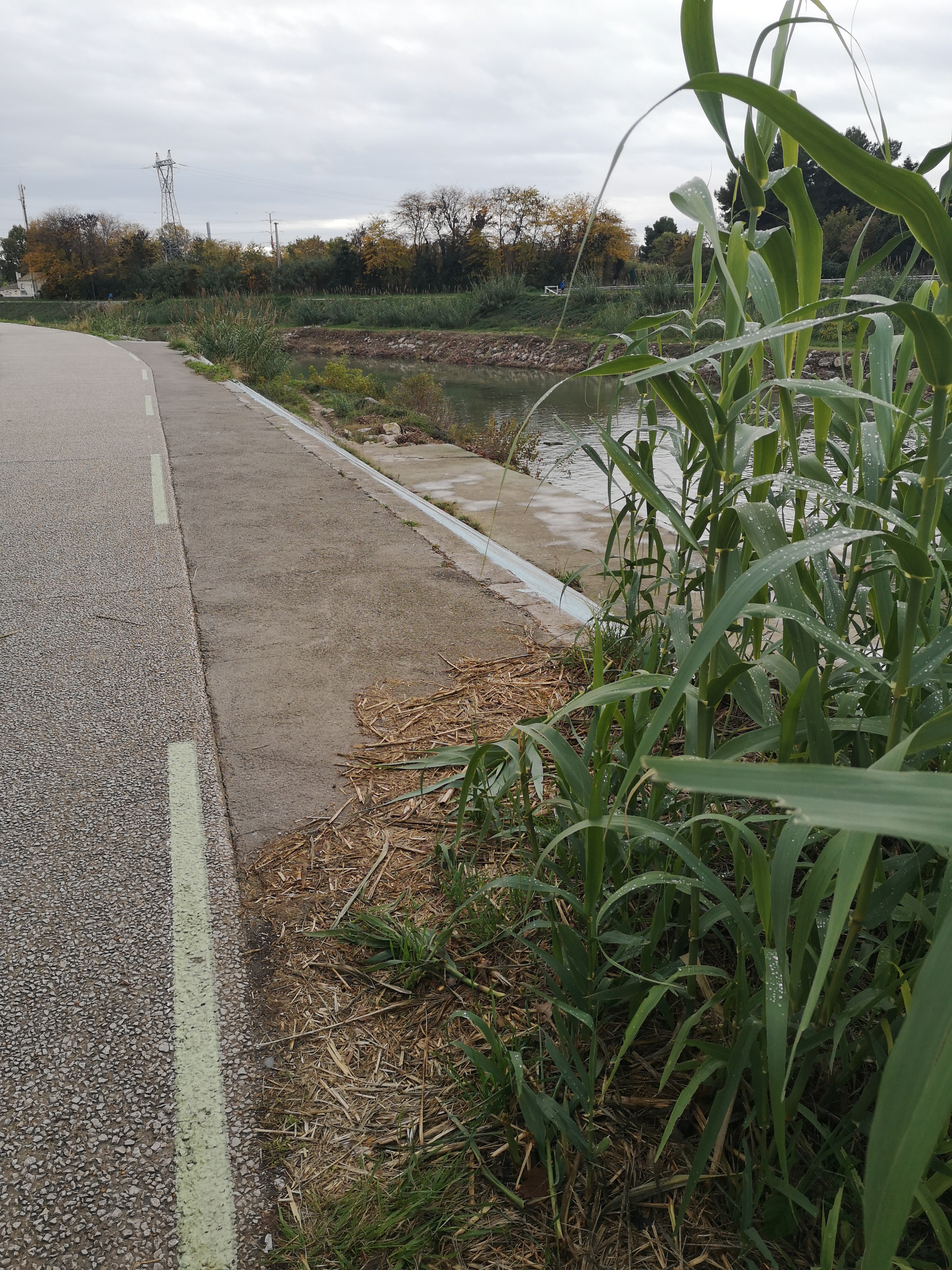 Photo n° 3 de l'avis de Pereira.a fait le 23/11/2022 à 20:22