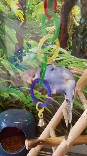 Pet Supply Store «Petco Animal Supplies», reviews and photos, 6805 Mills Civic Pkwy #140, West Des Moines, IA 50266, USA