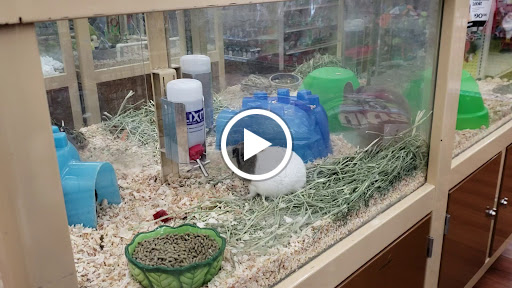 Pet Store «Pet Supermarket», reviews and photos, 9798 Glades Rd, Boca Raton, FL 33434, USA