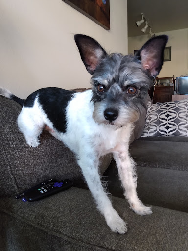 Pet Supply Store «Petco Animal Supplies», reviews and photos, 911 N Stratford Rd c, Moses Lake, WA 98837, USA