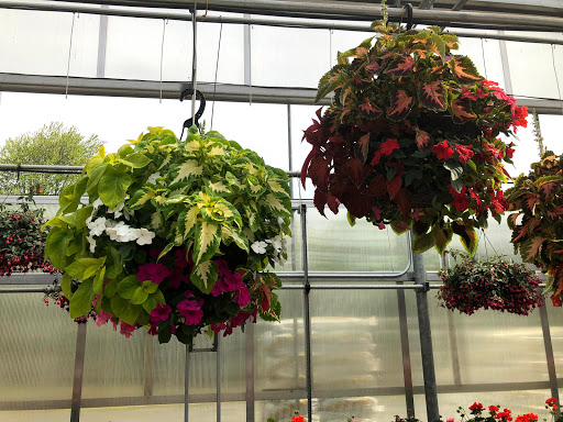 Produce Market «Dzen Garden Market», reviews and photos, 187 Windsorville Rd, Ellington, CT 06029, USA