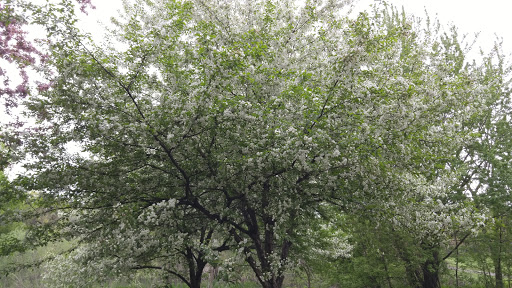 Park «Hansen Park», reviews and photos, 1555 5th St NW, New Brighton, MN 55112, USA