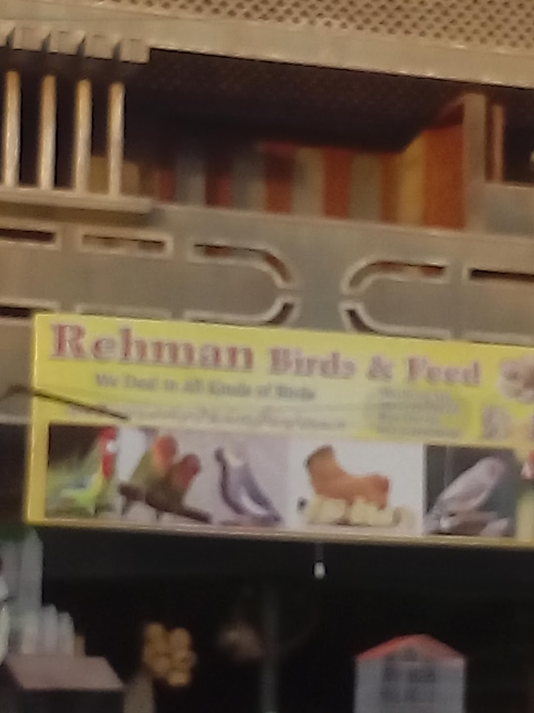 Rehman Birds & Feed