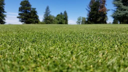 Golf Course «Forest Hills Golf Course», reviews and photos, 36260 SW Tongue Ln, Cornelius, OR 97113, USA