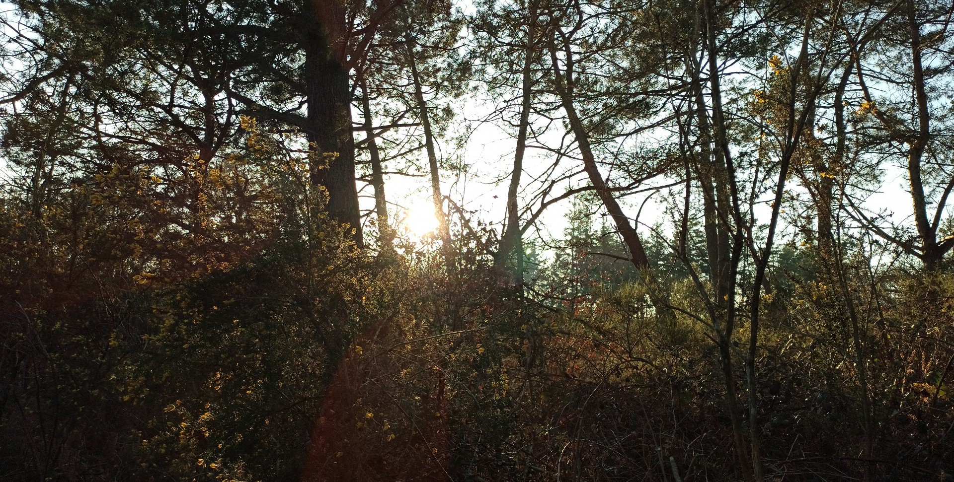 Photo n° 4 de l'avis de N.u fait le 28/02/2021 à 17:21
