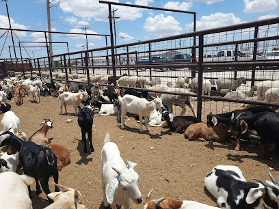 Producers Livestock Auction Co