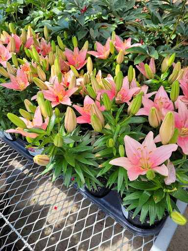 Home Improvement Store «The Home Depot», reviews and photos, 2600 S Lapeer Rd, Lake Orion, MI 48360, USA