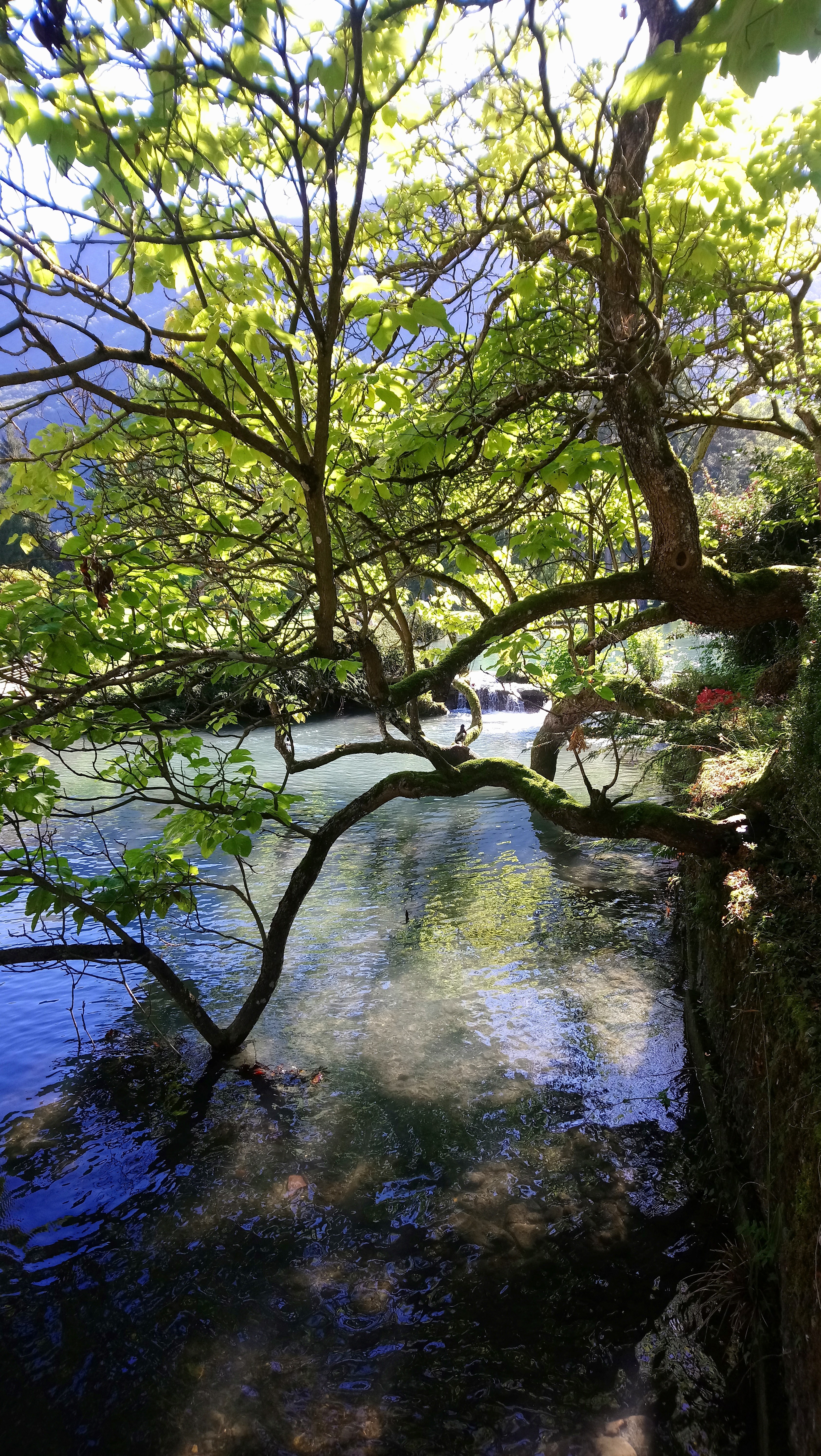 Photo n° 10 de l'avis de Jérôme.o fait le 01/10/2019 à 00:59