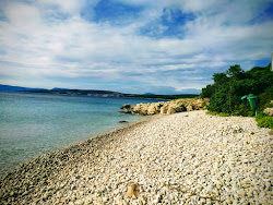 Dogs beach'in fotoğrafı çok temiz temizlik seviyesi ile
