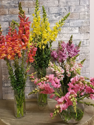 Florist «Sanford Flower Shop», reviews and photos, 209 E Commercial St, Sanford, FL 32771, USA