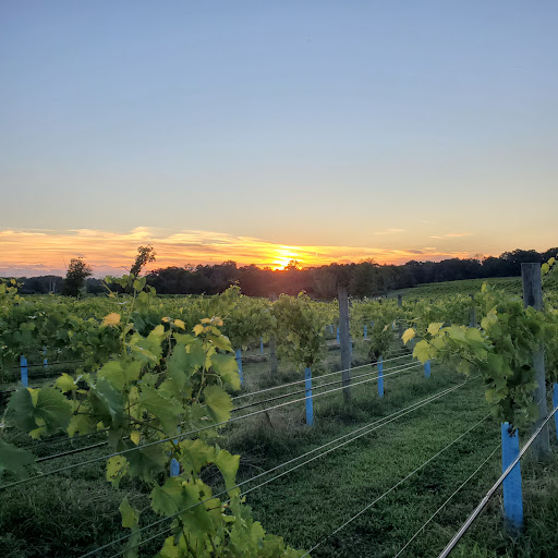 Winery «Laurita Winery», reviews and photos, 85 Archertown Rd, New Egypt, NJ 08533, USA