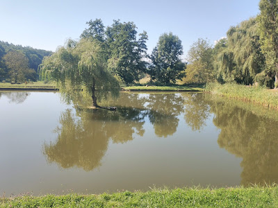 Etangs d'Osenbach à Osenbach