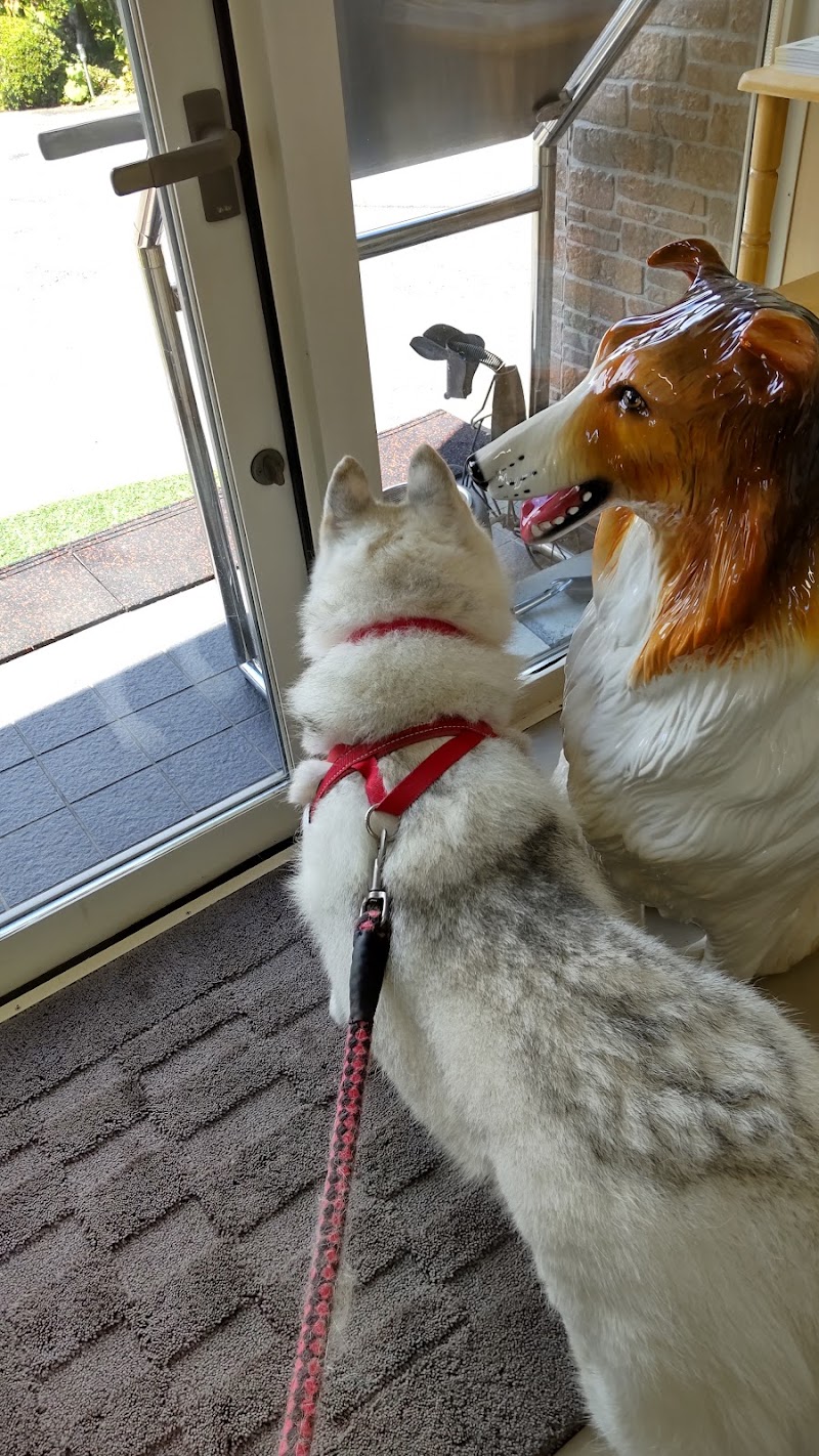 くろひめ動物病院