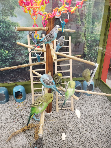 Pet Supply Store «Petco Animal Supplies», reviews and photos, 10060 US Highway 40 G-150, Ellicott City, MD 21042, USA