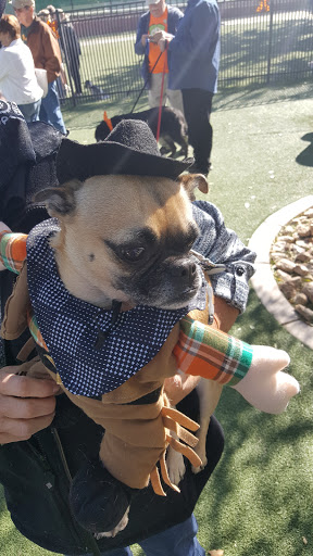 Park «Stonebrook Park», reviews and photos, 14431 W Ely Dr, Surprise, AZ 85374, USA