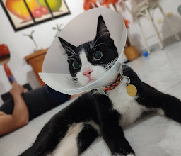 The Home Depot Torreón Abastos photo