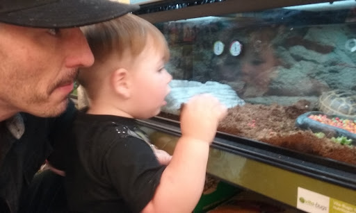 Pet Supply Store «Petco Animal Supplies», reviews and photos, 1110 Harter Pkwy, Yuba City, CA 95993, USA