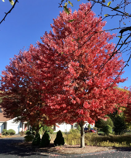 Park «Mary Cummings Park», reviews and photos, 25 Blanchard Rd, Burlington, MA 01803, USA