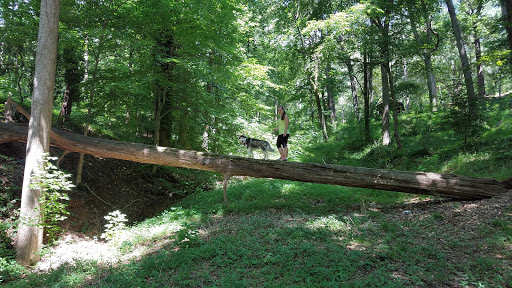 Golf Course «Chastain Park Golf Course», reviews and photos, 216 W Wieuca Rd NW, Atlanta, GA 30342, USA