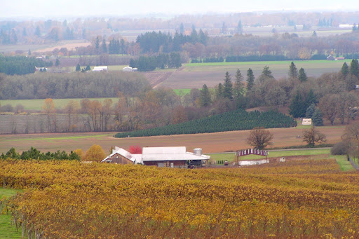 Winery «Benton-Lane Winery», reviews and photos, 23924 Territorial Rd, Monroe, OR 97456, USA