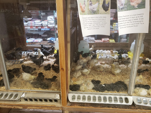 Pet Supply Store «Western Feed & Pet Supply», reviews and photos, 5935 Don Way, Carmichael, CA 95608, USA