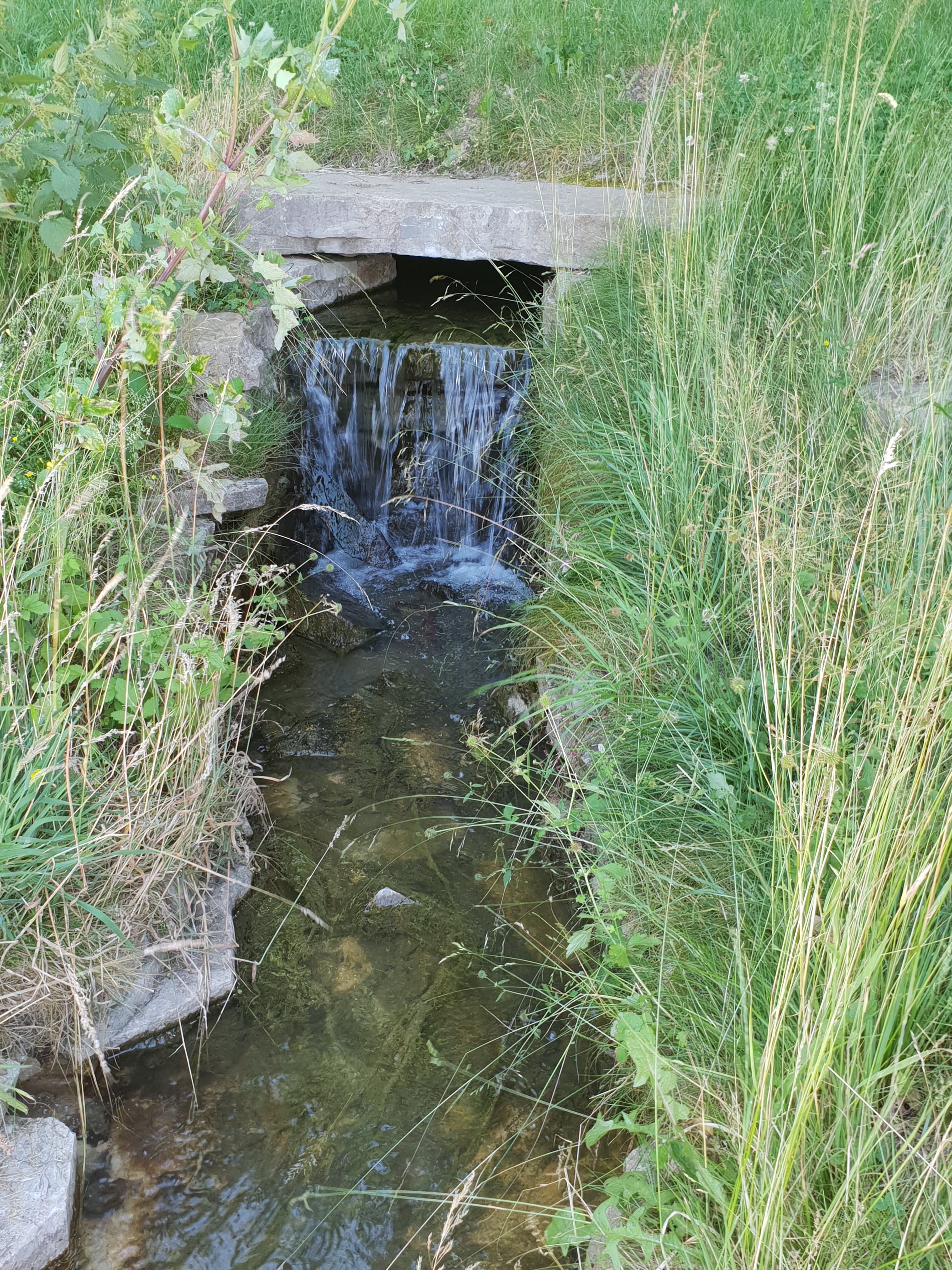 Photo n° 13 de l'avis de claire.I fait le 06/07/2020 à 04:50