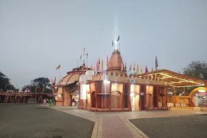 Shree Dadaji Dhuniwale Dham (Dada Darbar) image