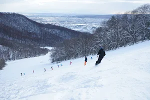 Sapporo Mt. Moiwa Ski Resort image