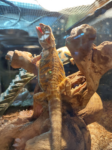 Pet Store «Fins Feathers Paws & Claws», reviews and photos, 436 Main St, Harleysville, PA 19438, USA