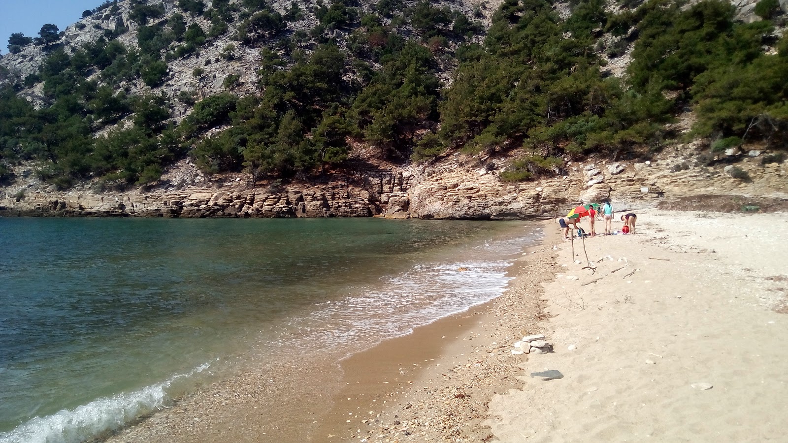 Foto af Livadi beach vildt område