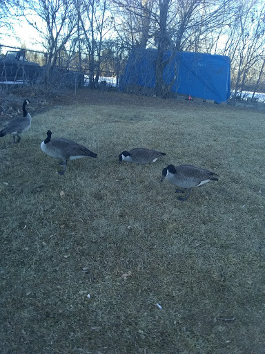 Park «Harvey Park», reviews and photos, 2120 S Tennyson Way, Denver, CO 80219, USA