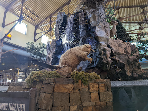 Sporting Goods Store «Bass Pro Shops», reviews and photos, 2501 Bass Pro Dr, Grapevine, TX 76051, USA