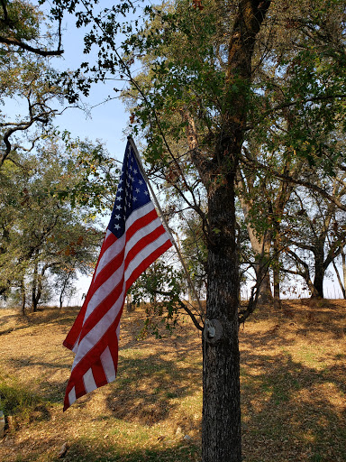 Winery «Bacigalupi Vineyards», reviews and photos, 4353 Westside Rd, Healdsburg, CA 95448, USA