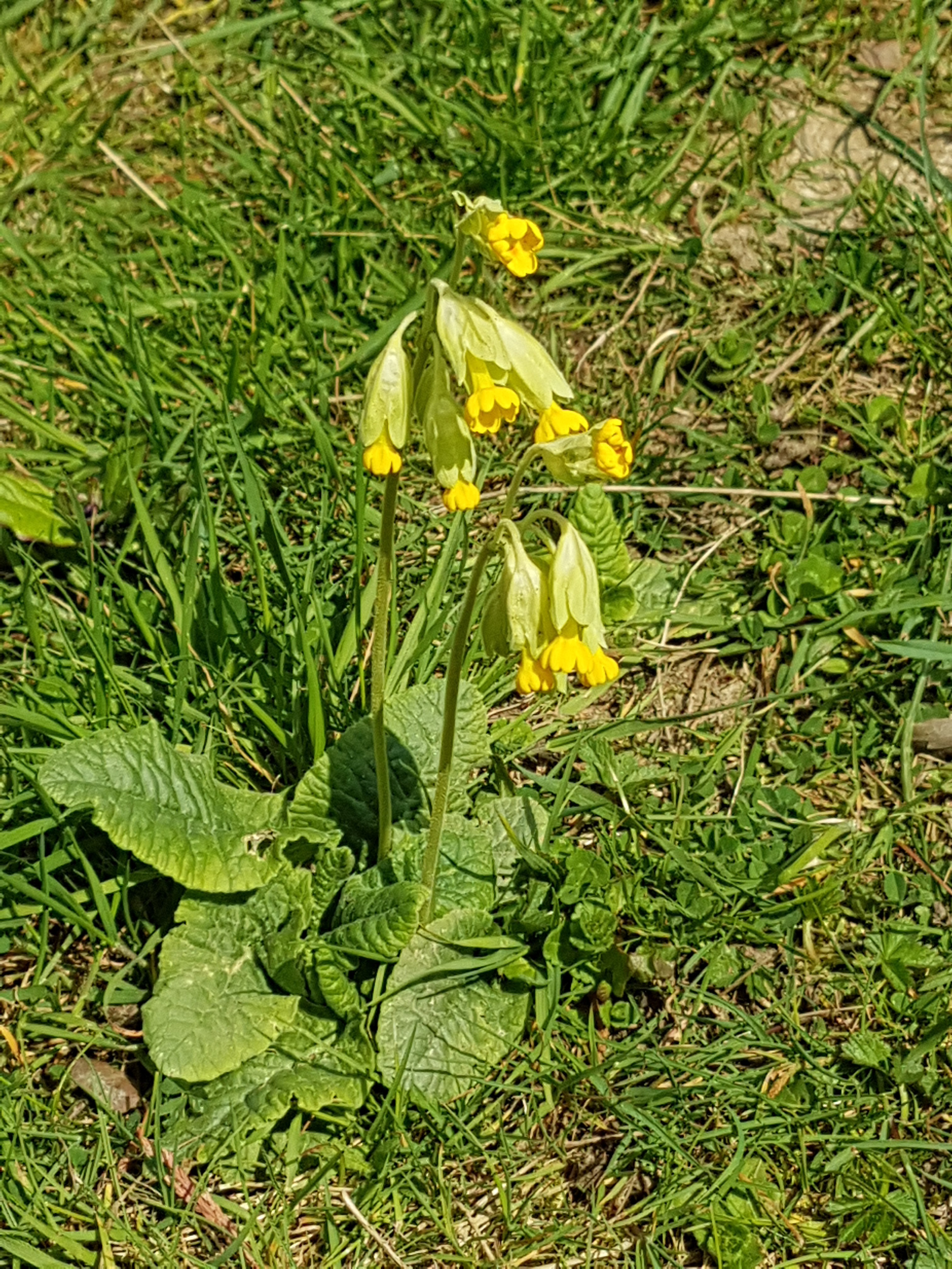 Photo n° 6 de l'avis de flo.i fait le 13/04/2019 à 15:54