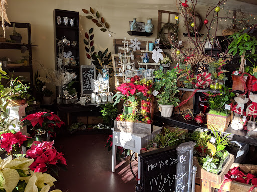 Florist «Stargazer Premier Florist», reviews and photos, 925 NW Circle Blvd, Corvallis, OR 97330, USA